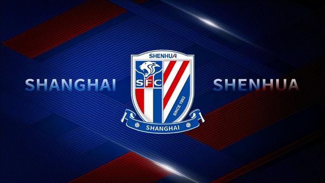东北少妇av在线播放